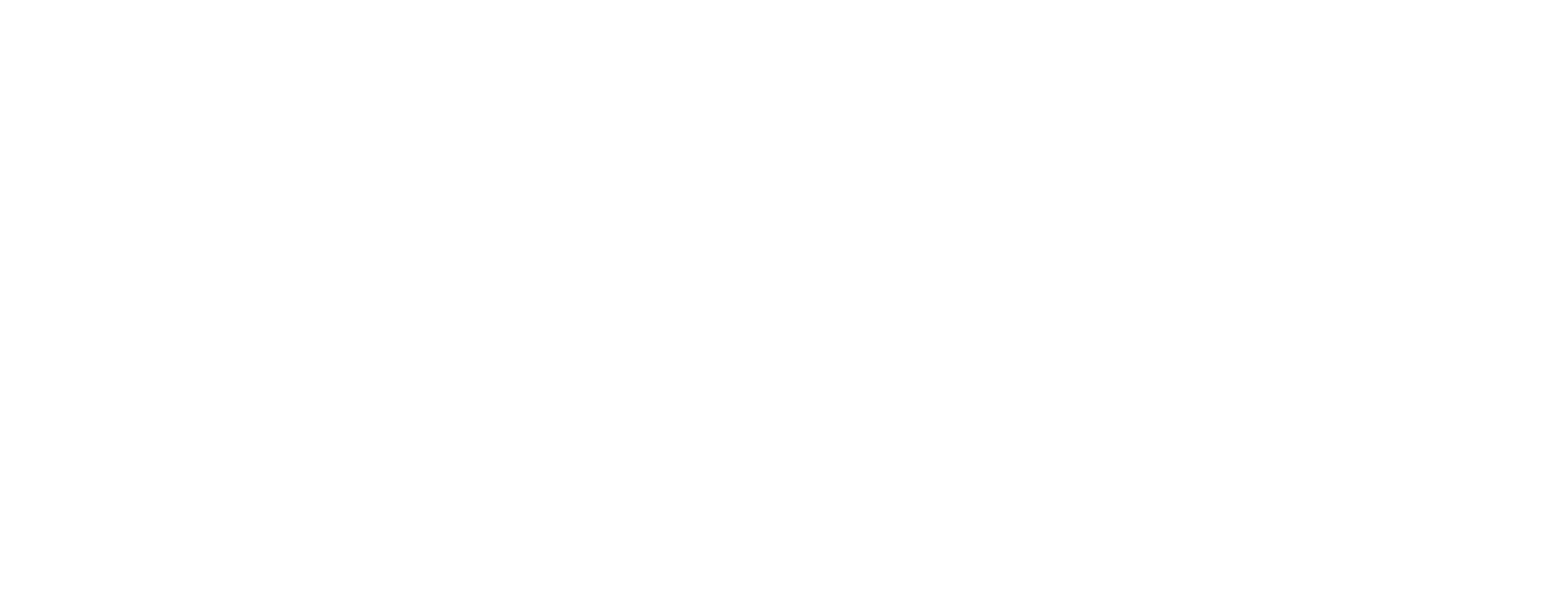 Pitek_logo_white